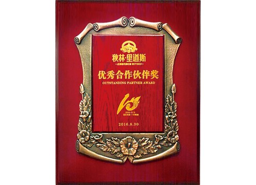 优秀合作伙伴奖